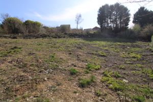 Photo 18- click for photo gallery